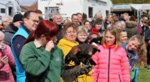 Net als vorig jaar is er op de camperparking weer een roofvogelshow